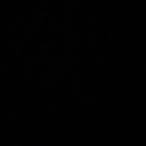 Meet your Posher, Bri